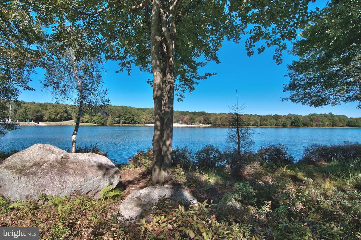 124 Fern Ridge Rd Property Photo 5