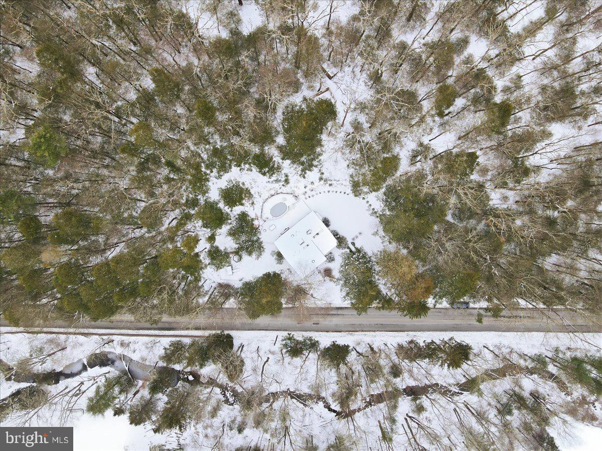 172 Evergreen Hollow Rd Property Photo 63