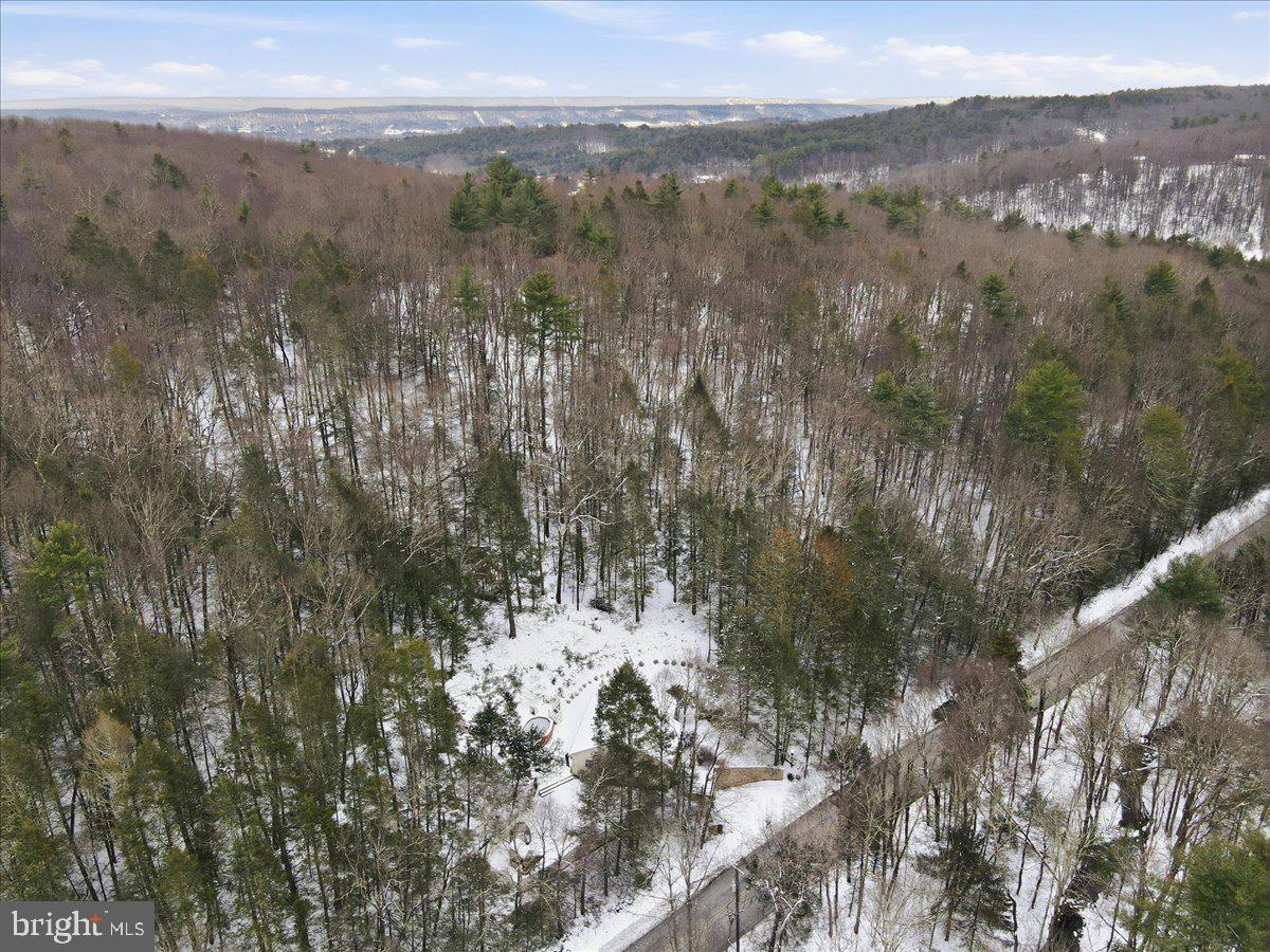 172 Evergreen Hollow Rd Property Photo 67