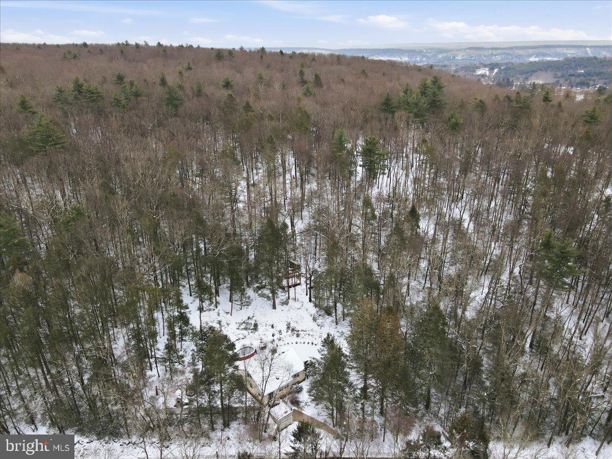 172 Evergreen Hollow Rd Property Photo 68