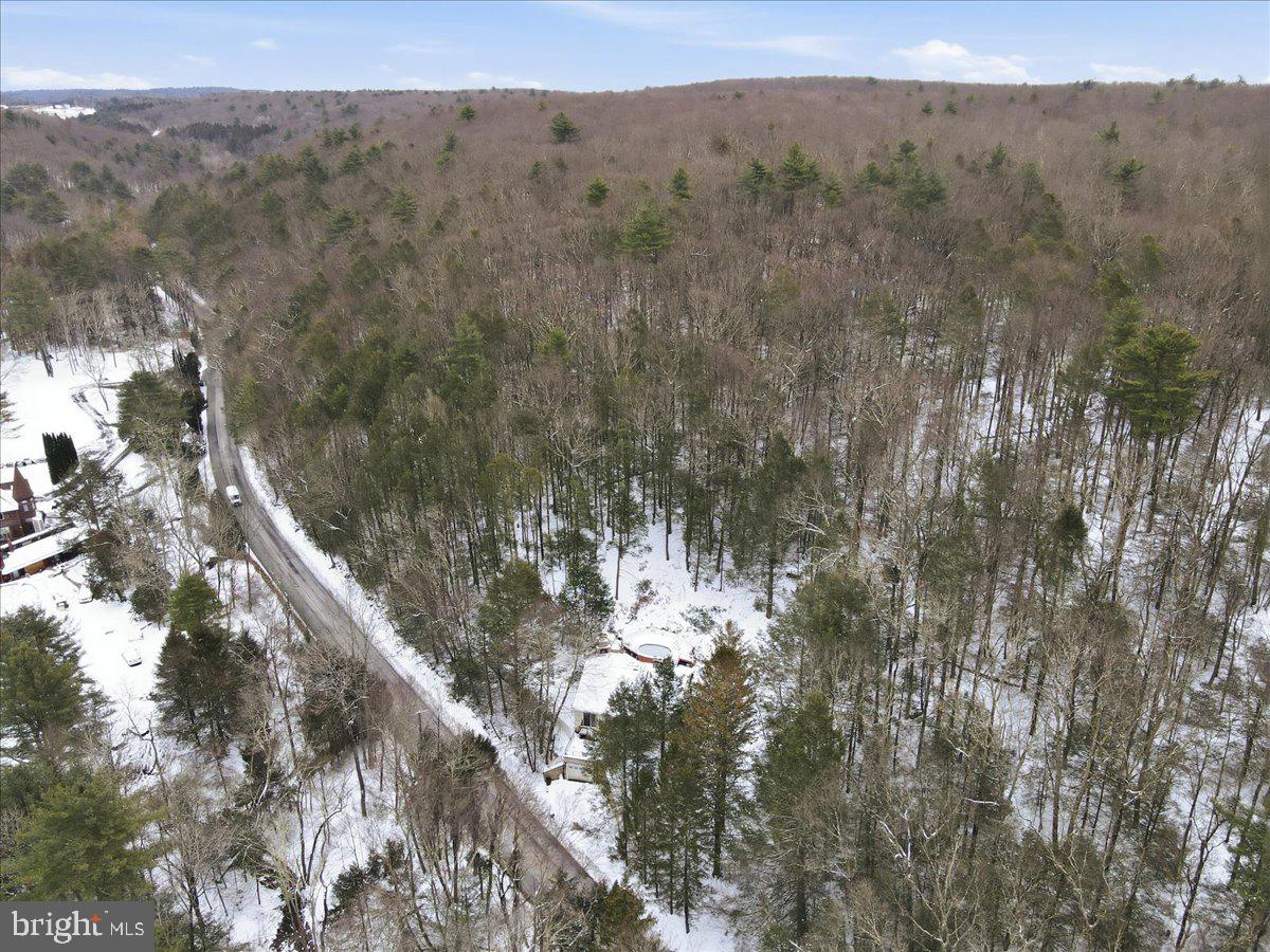 172 Evergreen Hollow Rd Property Photo 69