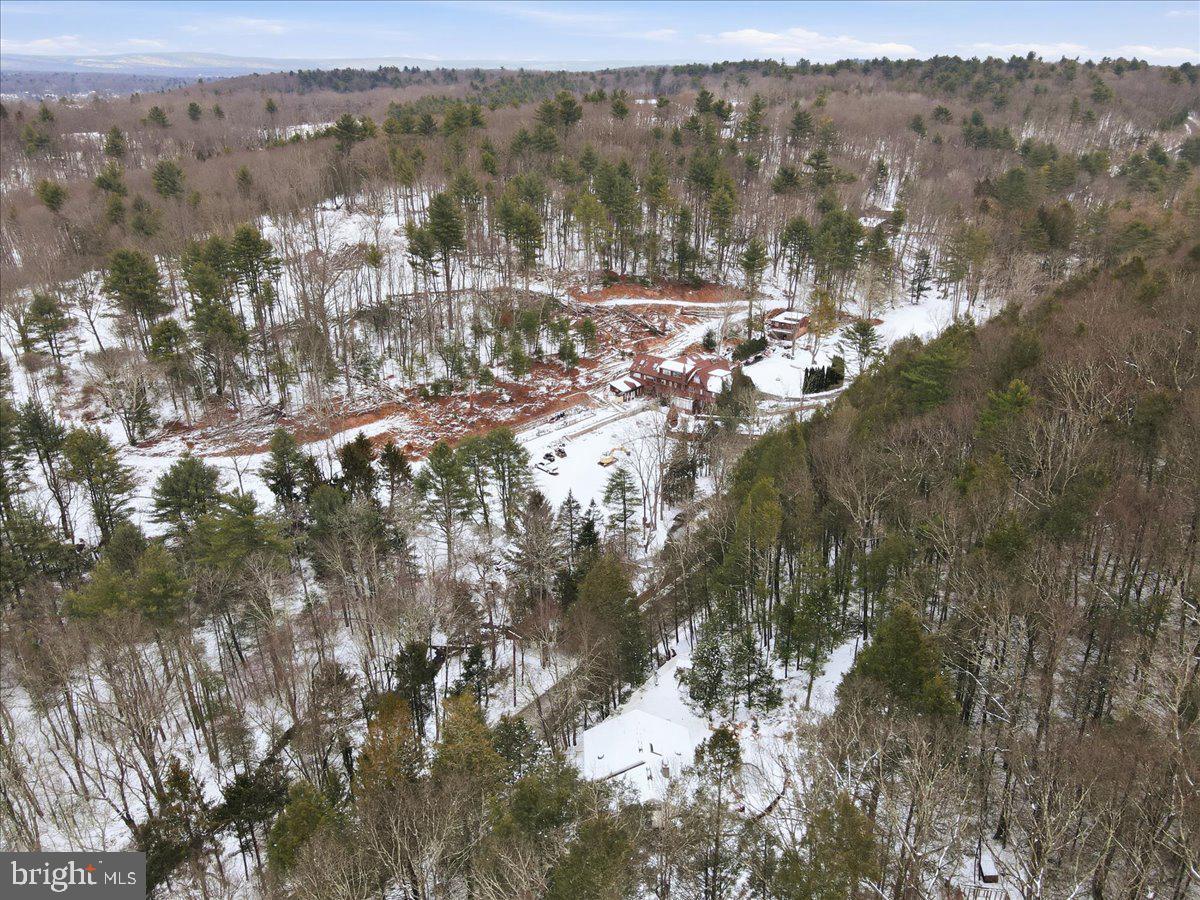 172 Evergreen Hollow Rd Property Photo 70