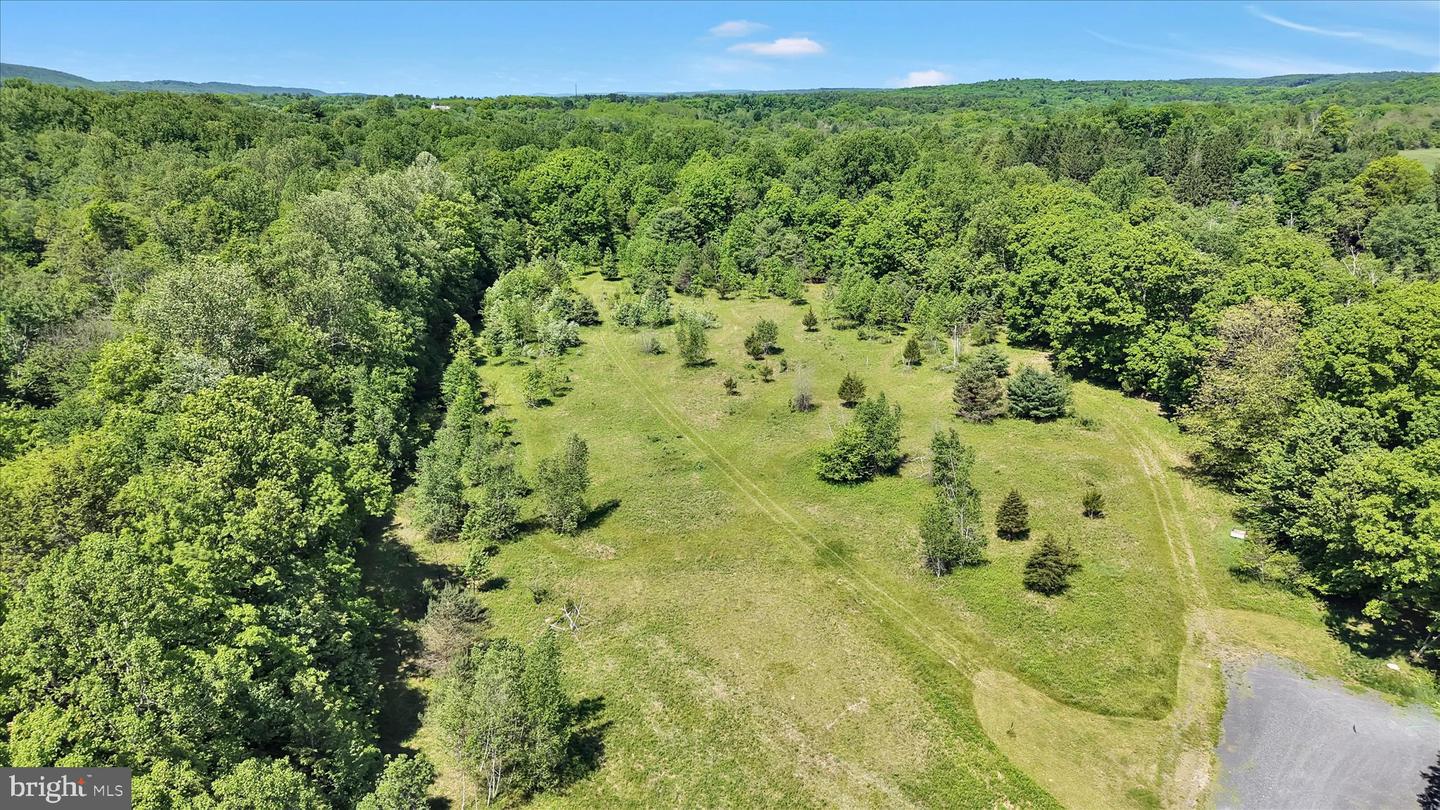 279 Greenview Dr Property Photo 45
