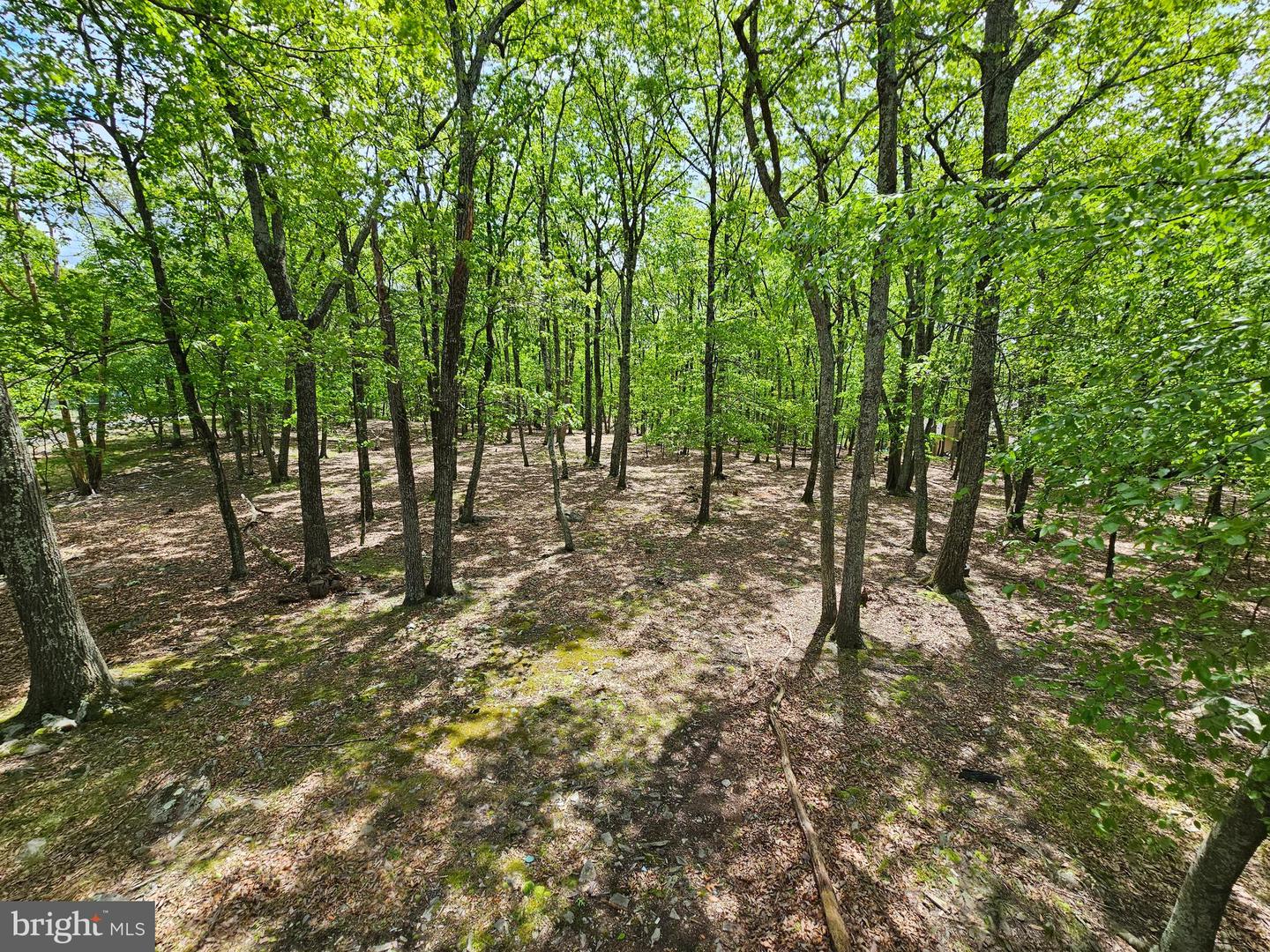 8226 Woodchuck Ct Property Photo 26