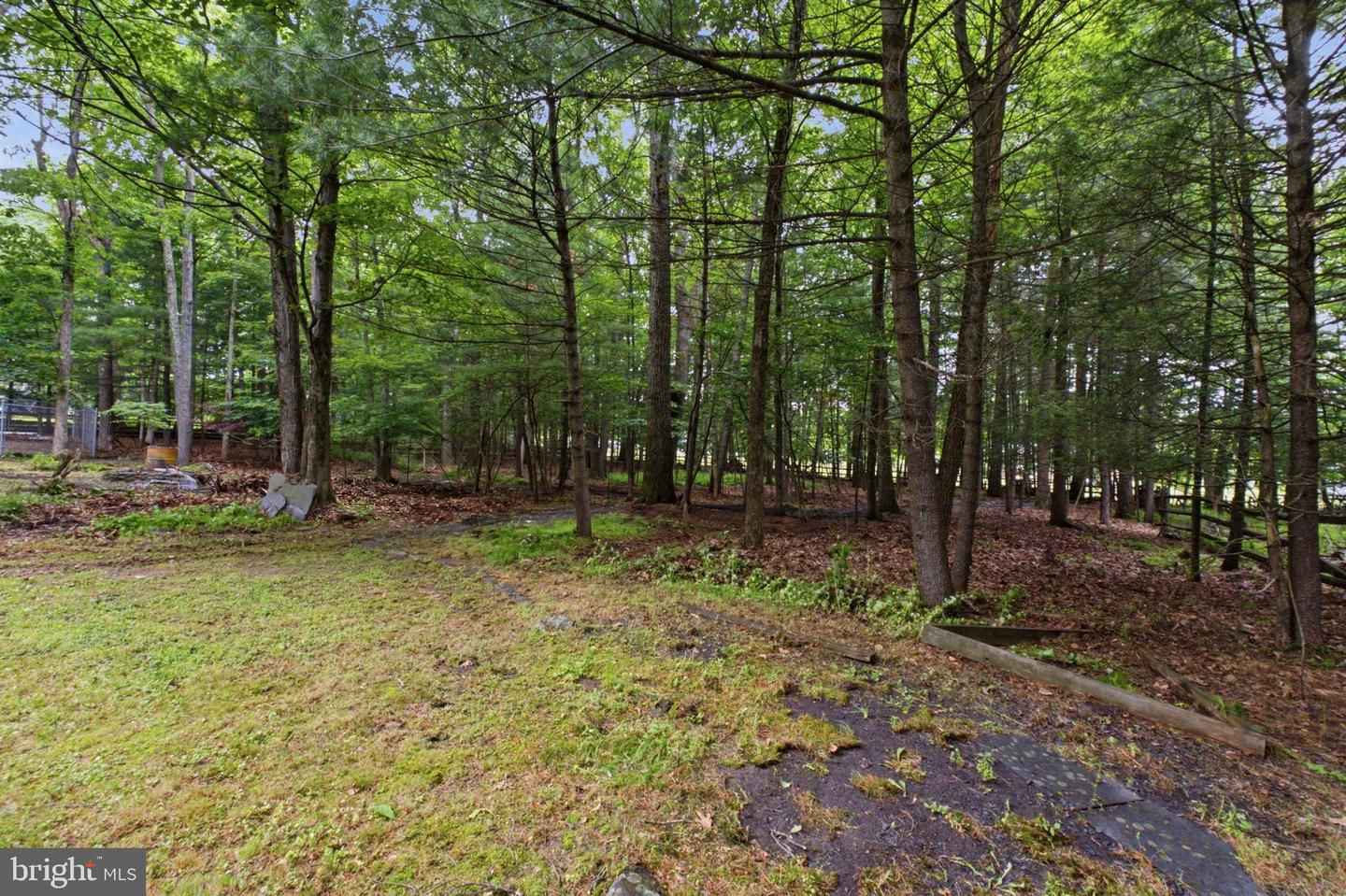 3 Theresa Ln Property Photo 41