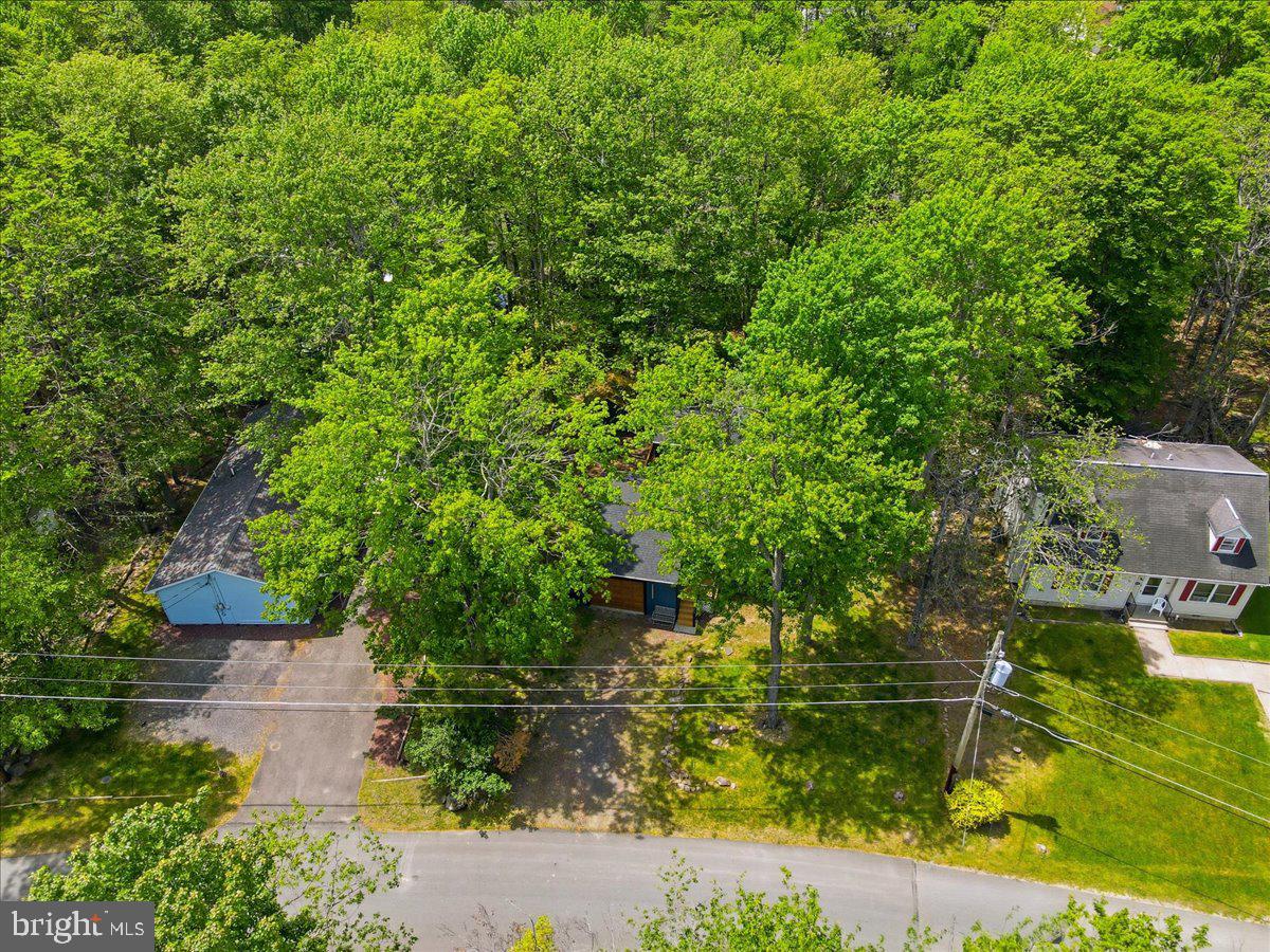8934 Deerfield Rd Property Photo 41