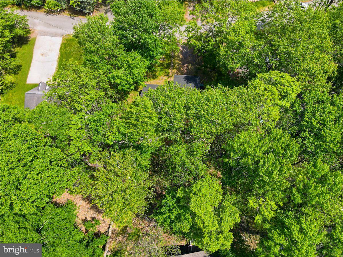 8934 Deerfield Rd Property Photo 43
