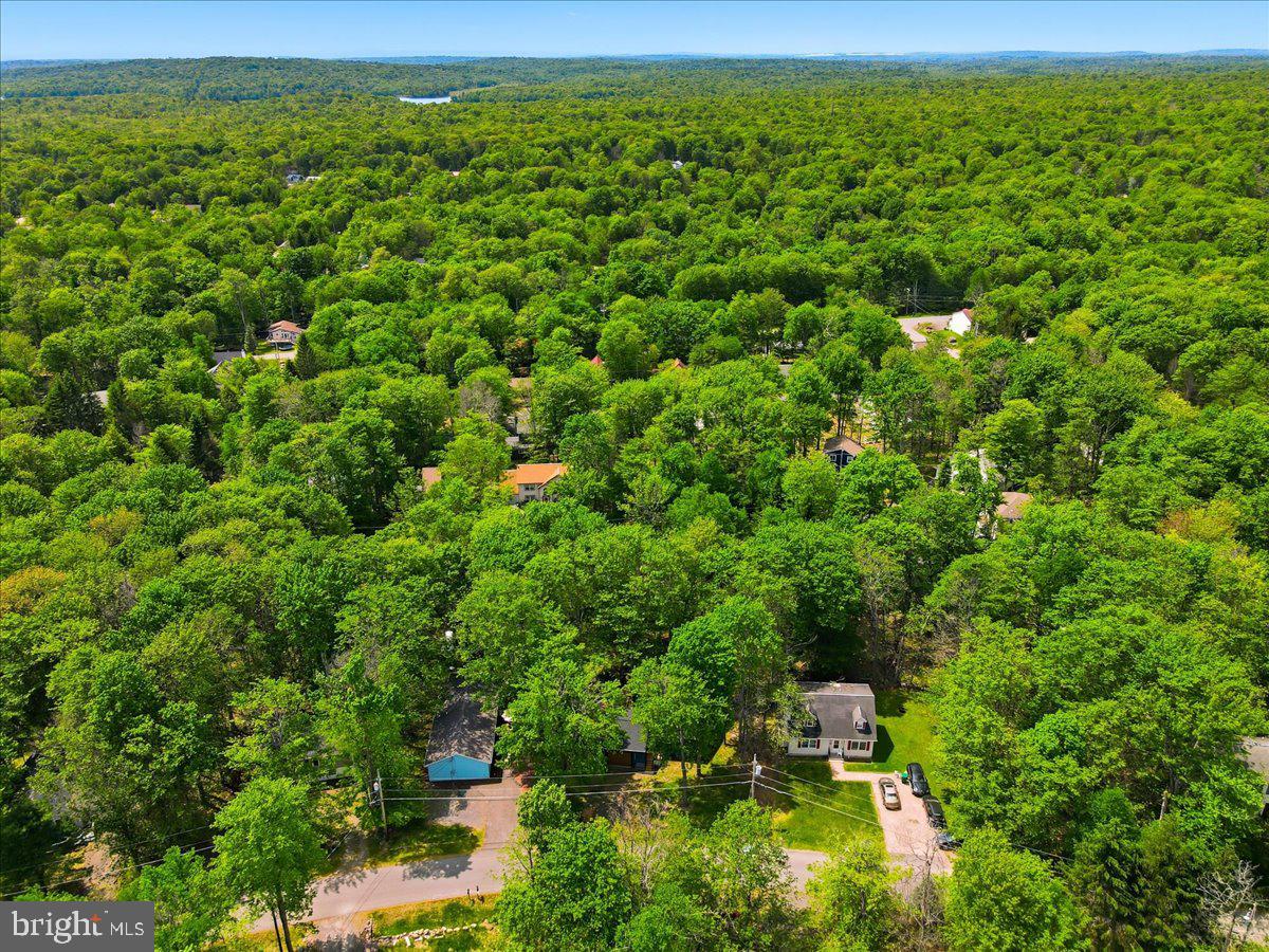 8934 Deerfield Rd Property Photo 45
