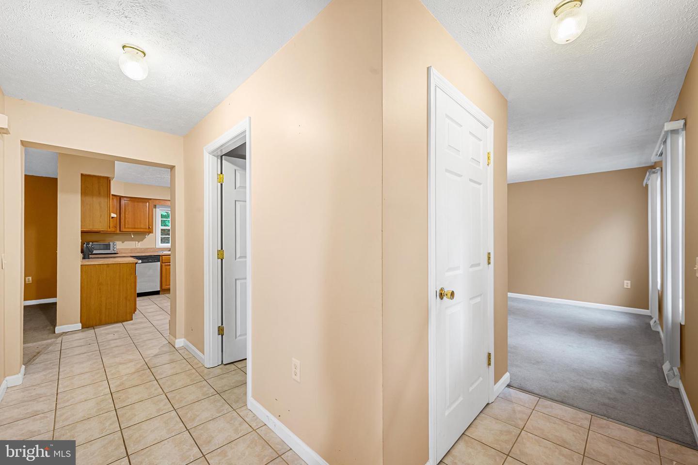 313 Lower Lakeview Dr Property Photo 3
