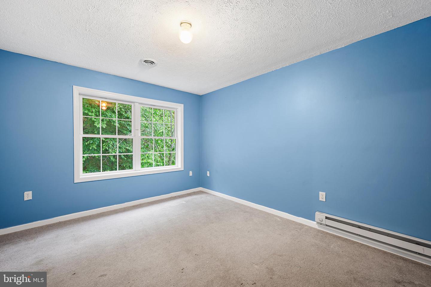 313 Lower Lakeview Dr Property Photo 23