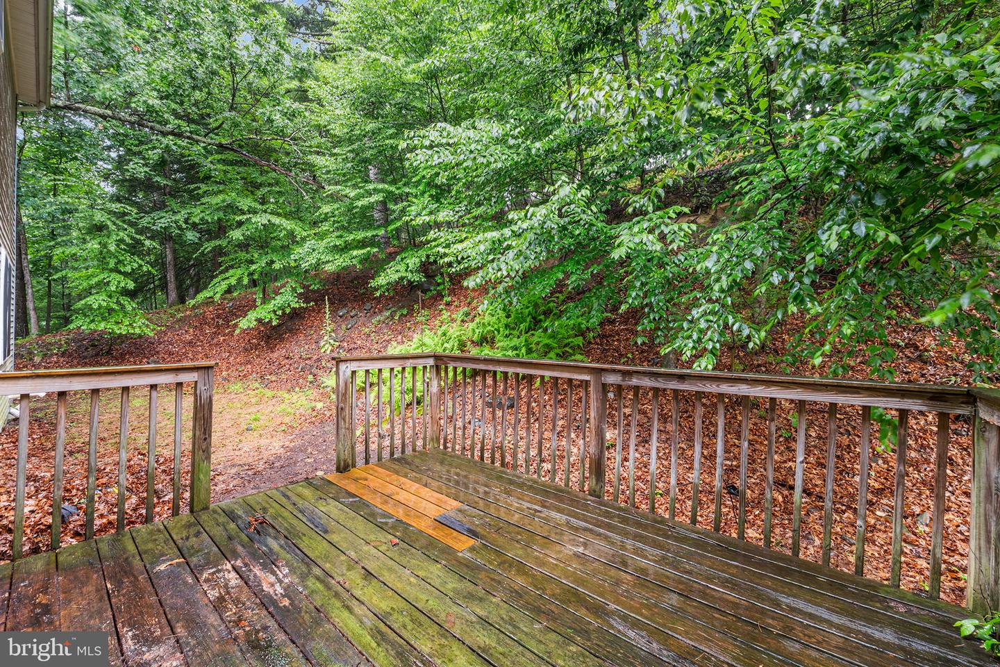 313 Lower Lakeview Dr Property Photo 27