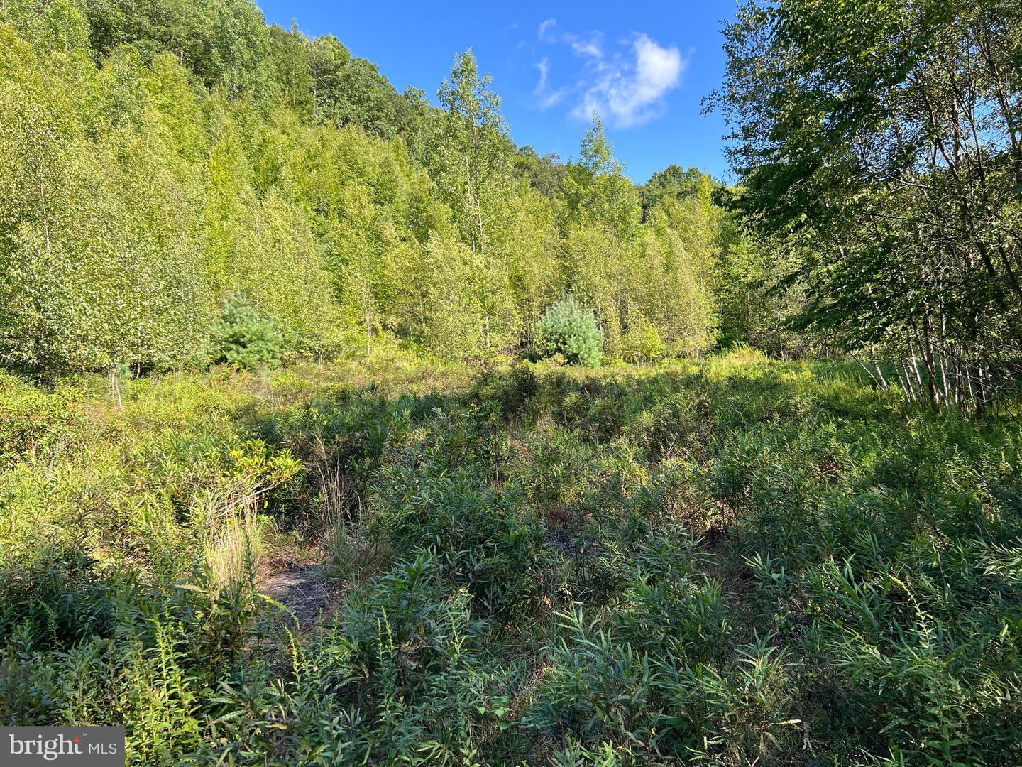 0 Lower Mountain Drive Lower Mountain Drive Property Photo 1