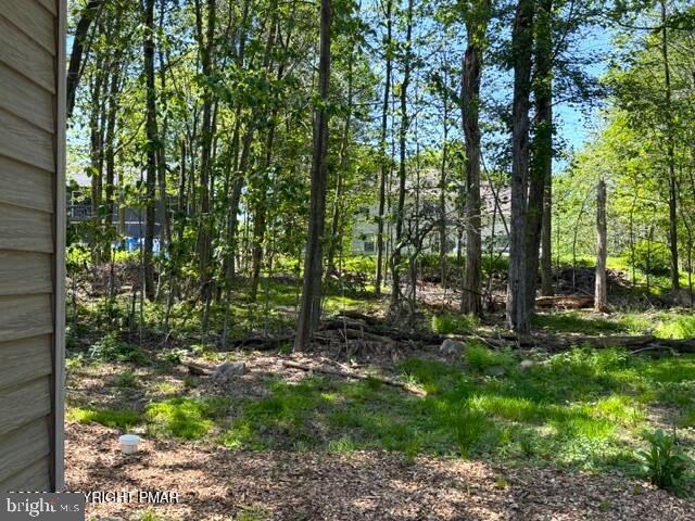 241 Champlain Dr Property Photo 15