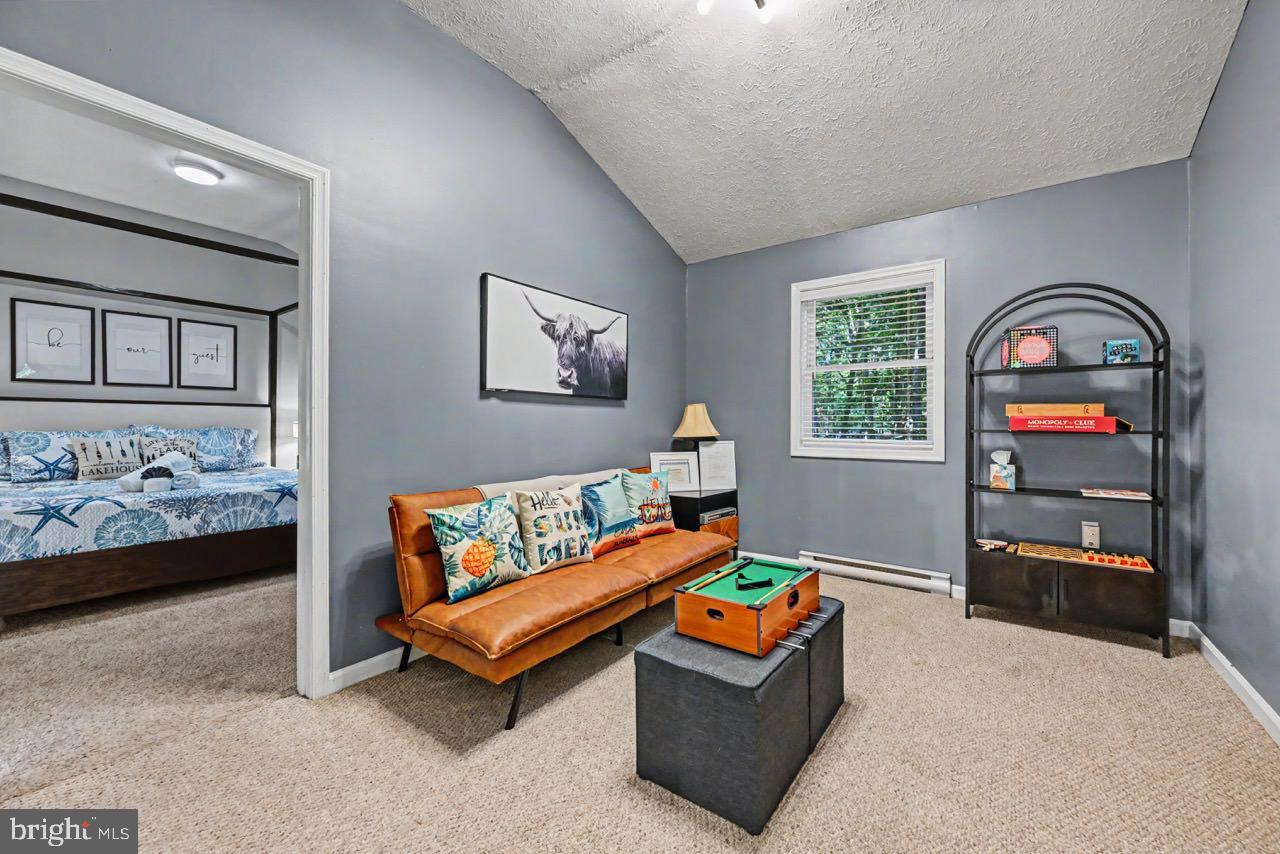 5376 Conoquenissing Dr Property Photo 44
