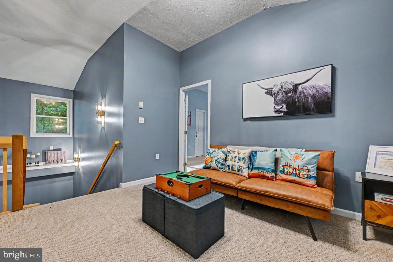 5376 Conoquenissing Dr Property Photo 50