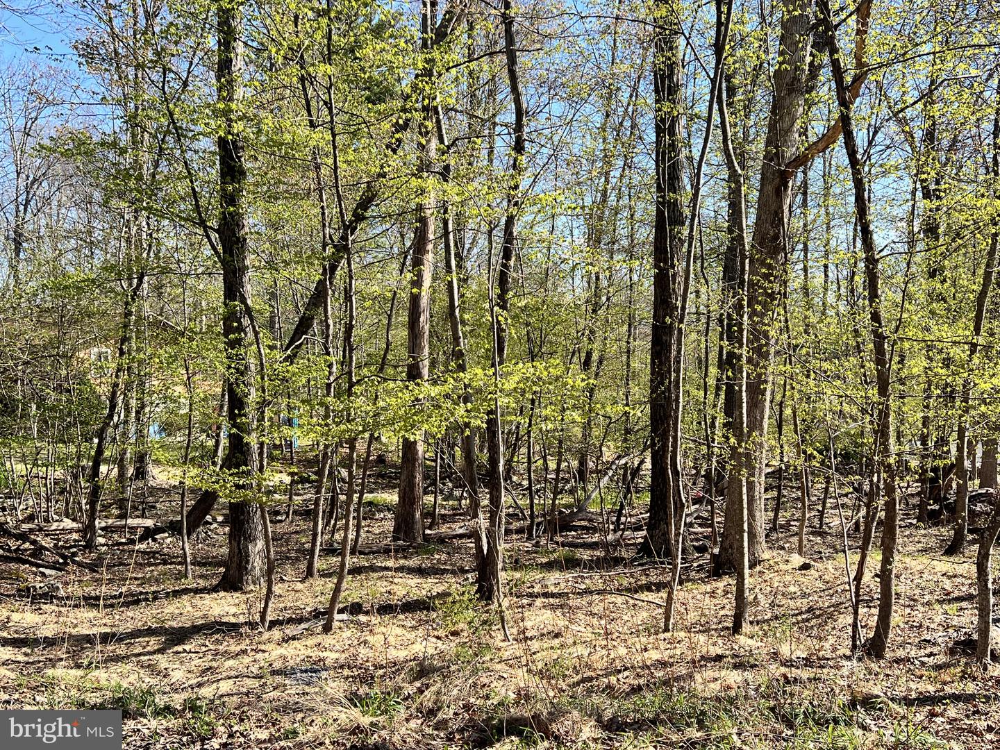 Chickadee Way Property Photo 1
