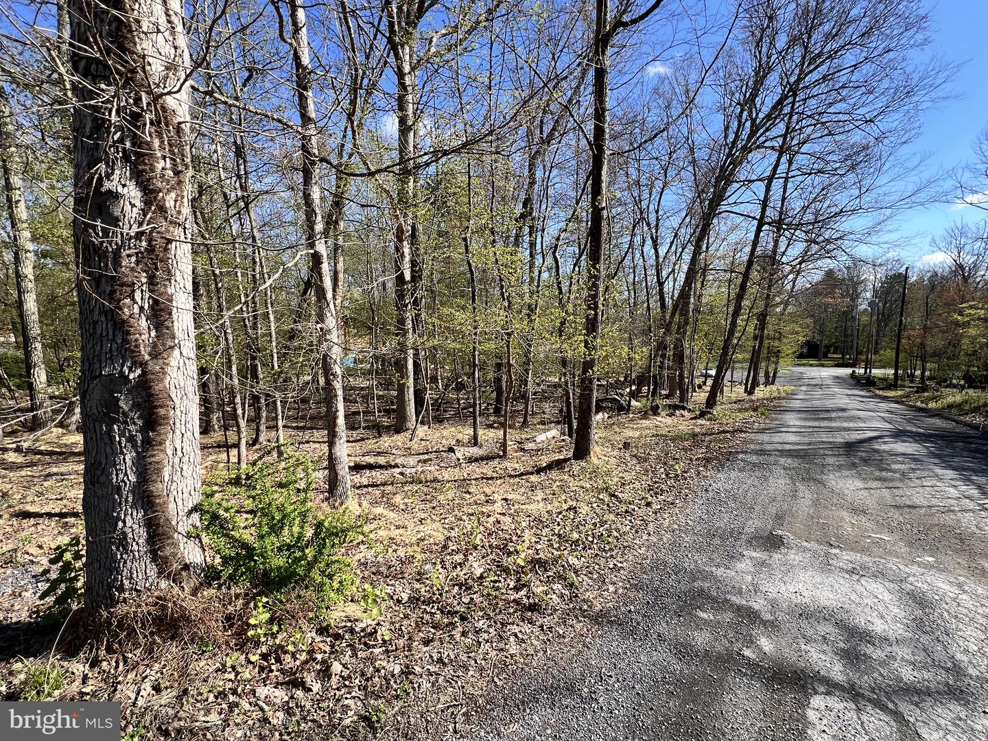Chickadee Way Property Photo 2