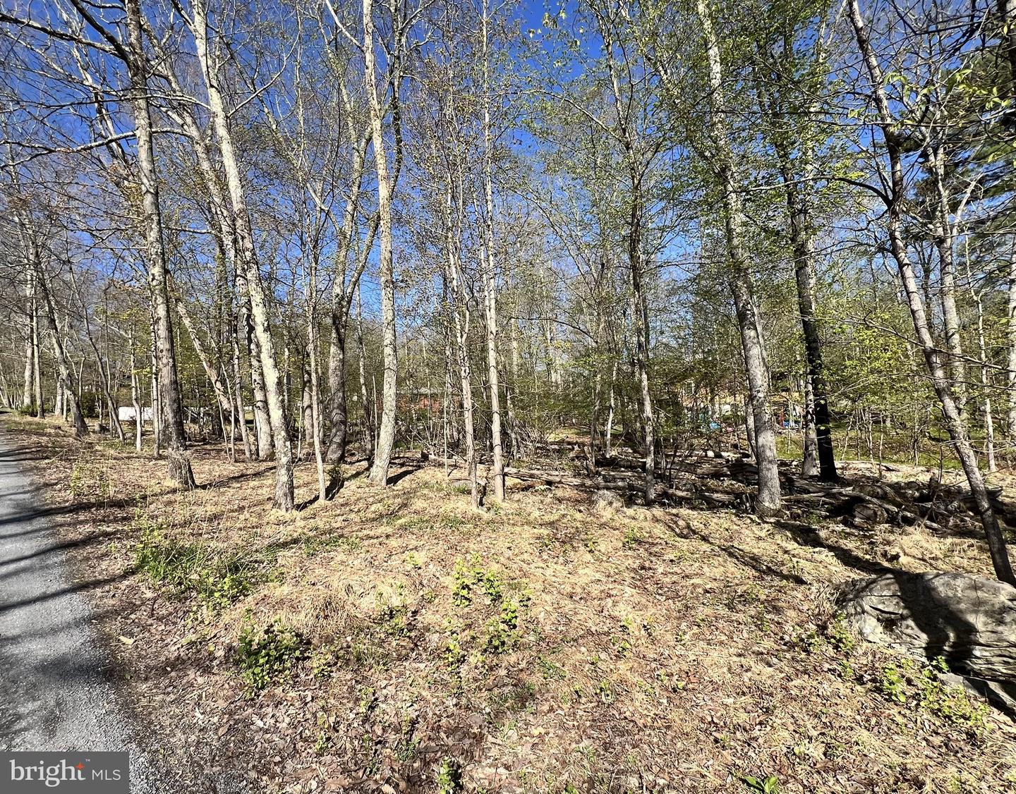 Chickadee Way Property Photo 3