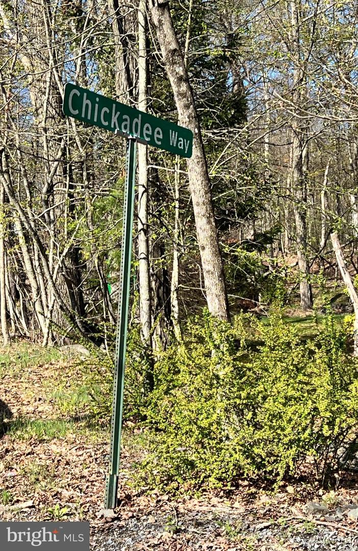 Chickadee Way Property Photo 4