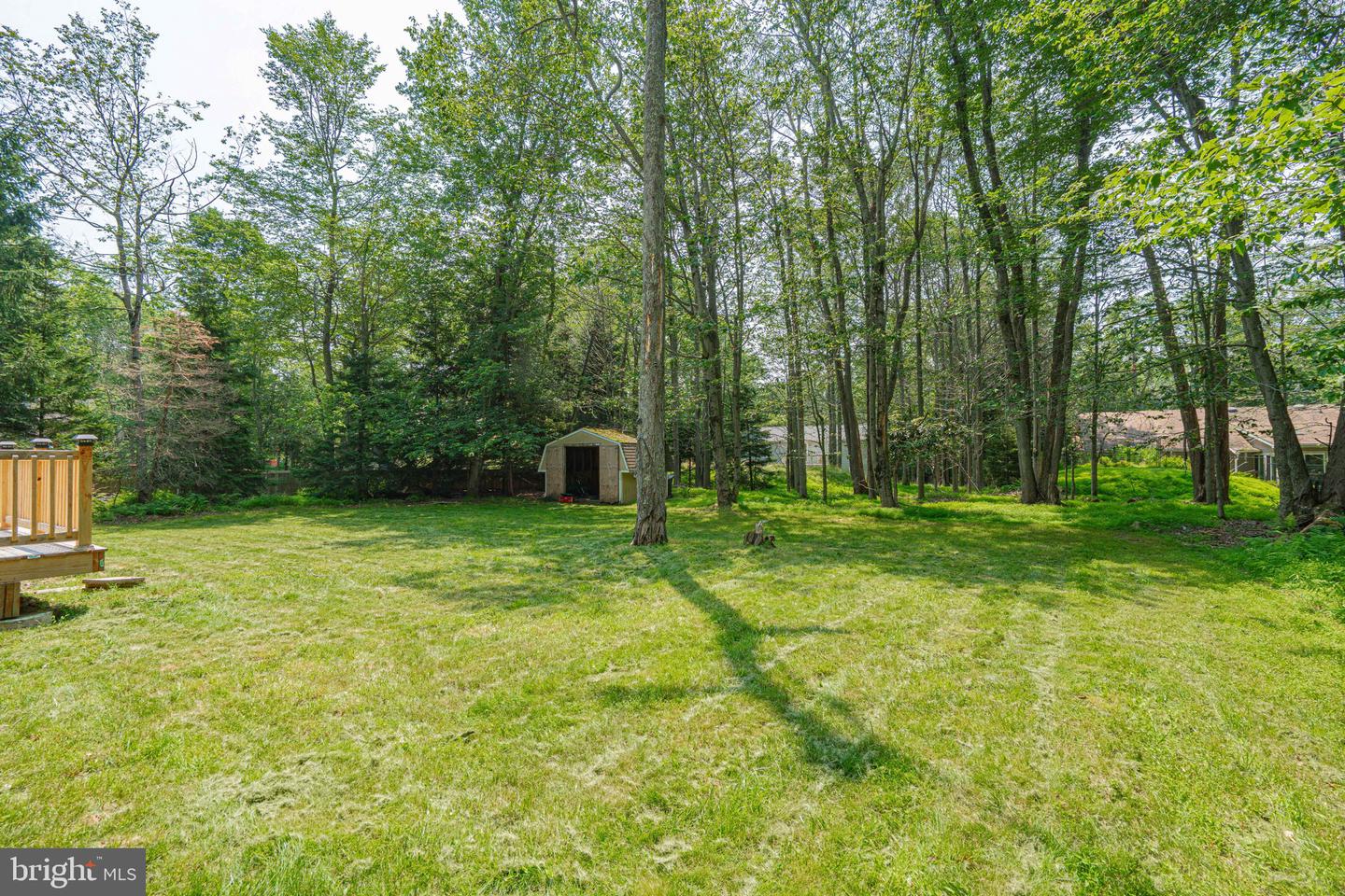 3279 Beech Ridge Dr Property Photo 20