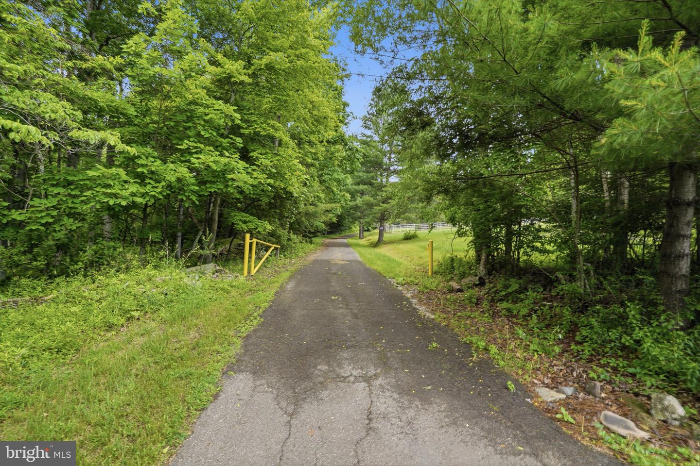 1163 Bush Rd Property Photo 52