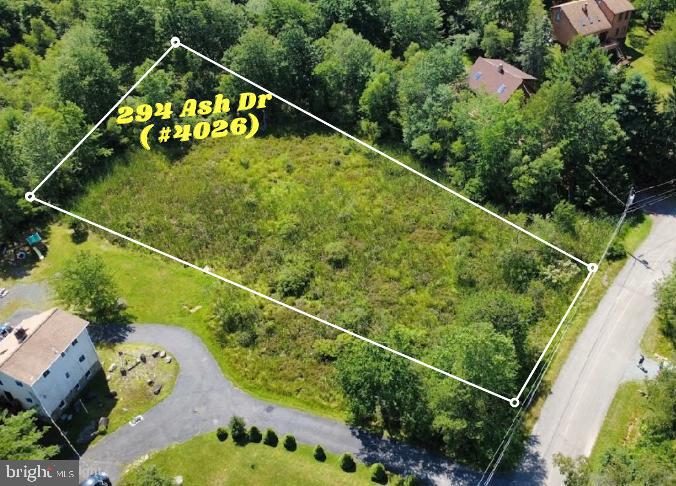 294 Ash Dr (#4026) Property Photo 2