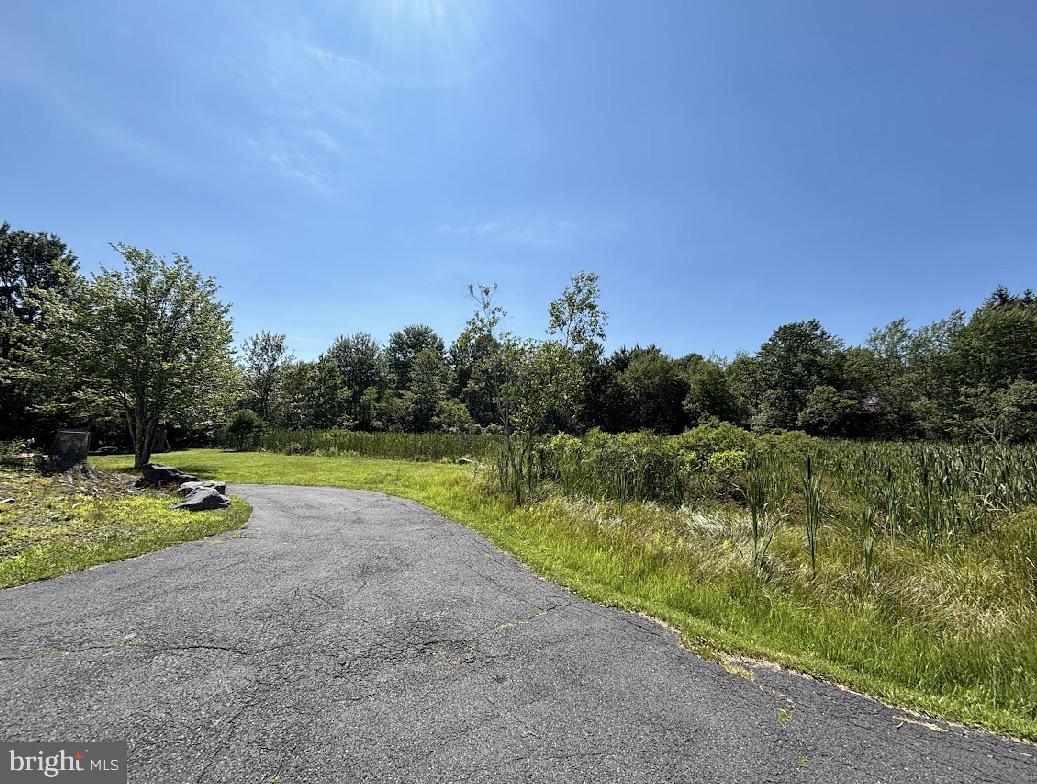 294 Ash Dr (#4026) Property Photo 4