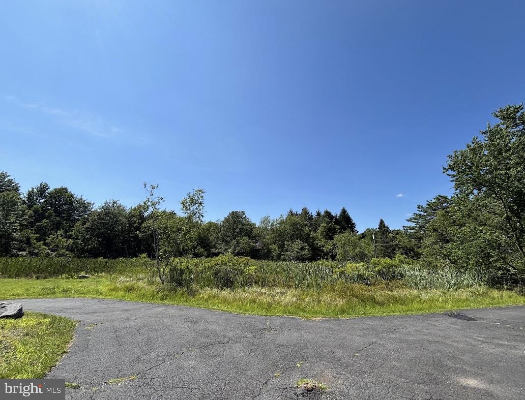 294 Ash Dr (#4026) Property Photo 8