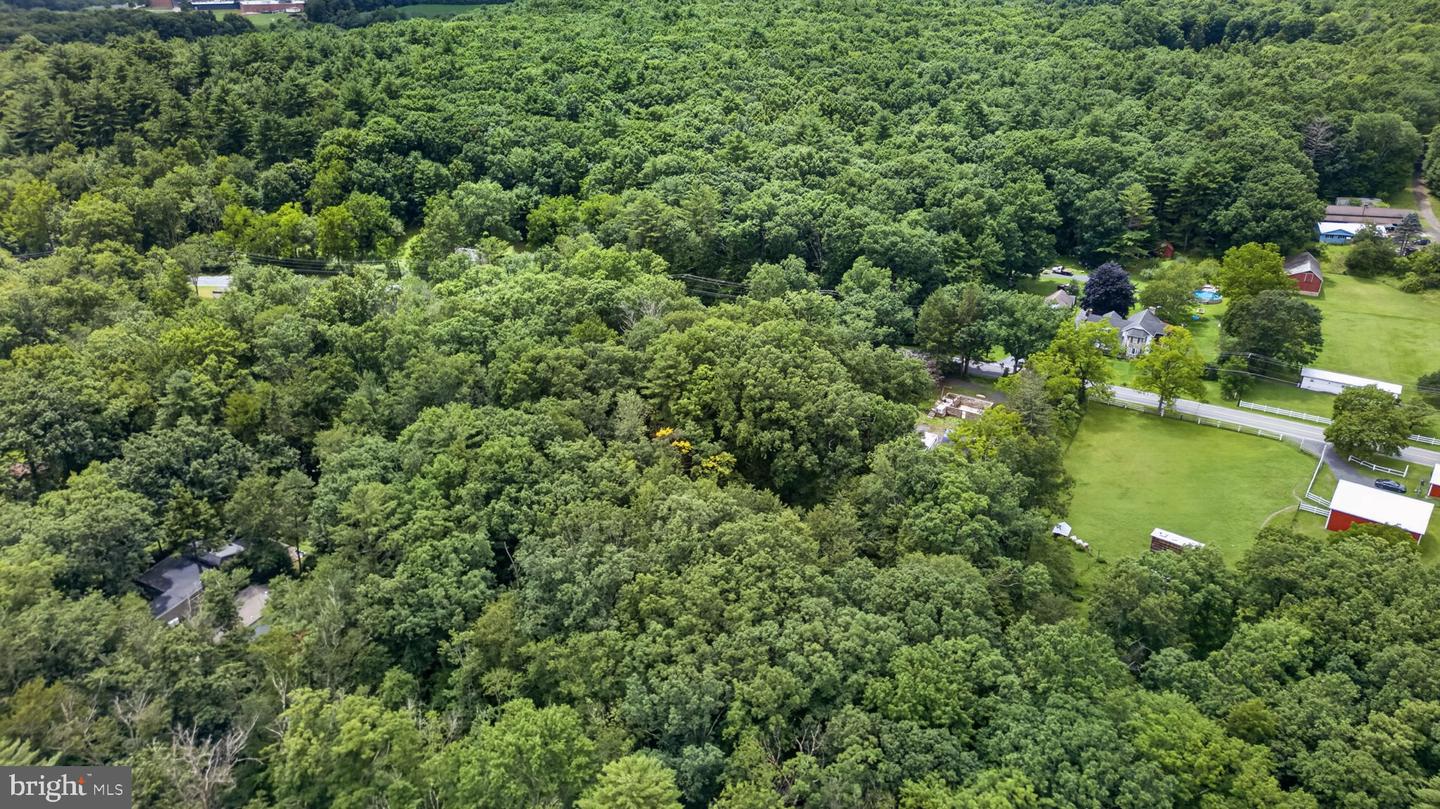 708 Burger Hollow Rd Property Photo 3