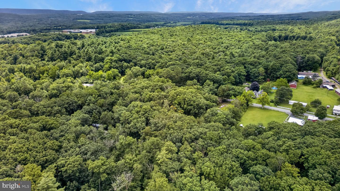 708 Burger Hollow Rd Property Photo 6