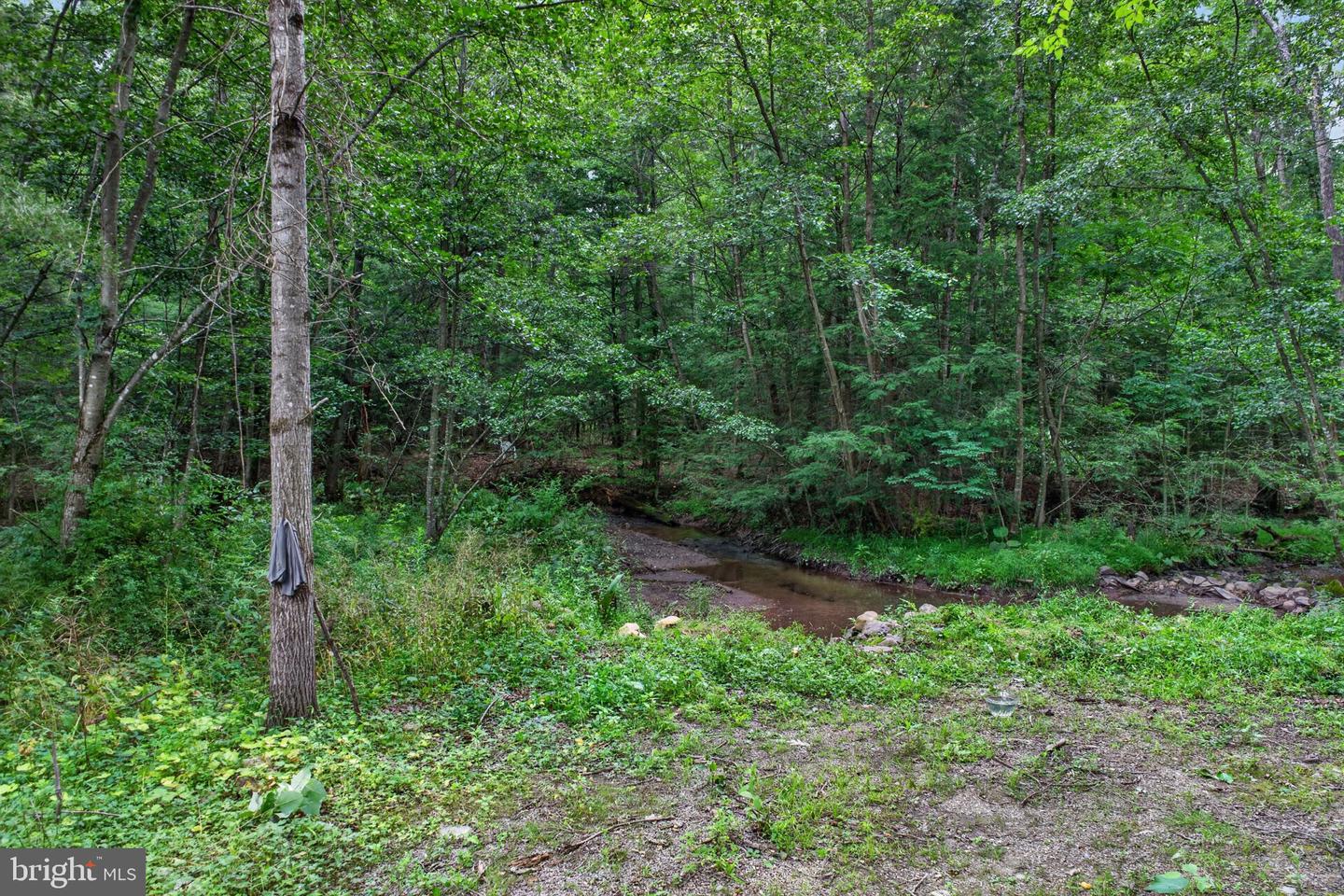 708 Burger Hollow Rd Property Photo 8