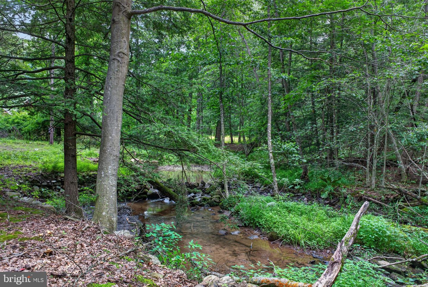 708 Burger Hollow Rd Property Photo 9