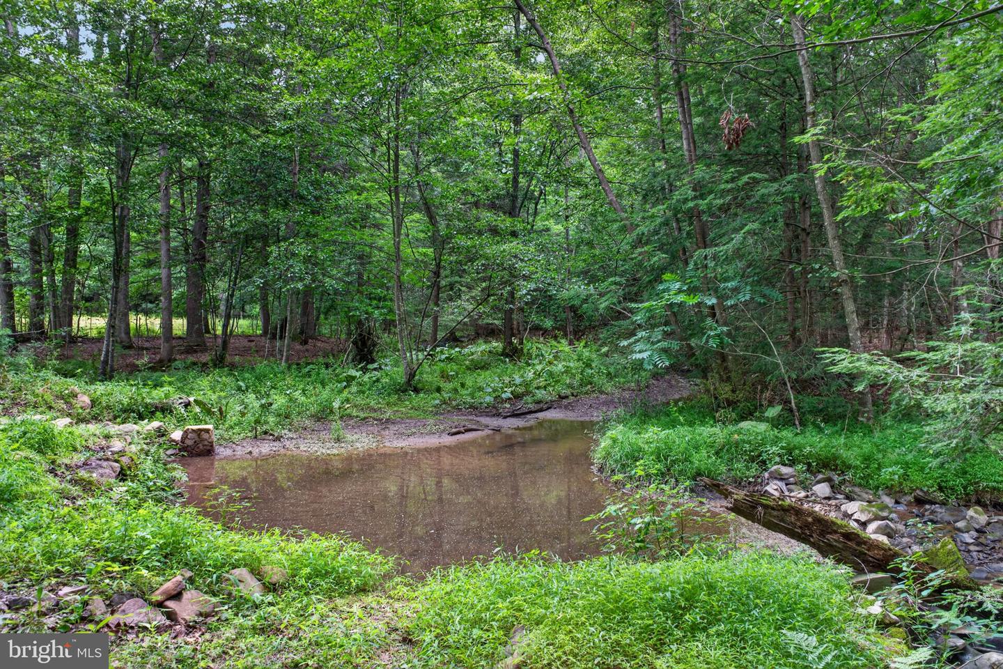 708 Burger Hollow Rd Property Photo 10