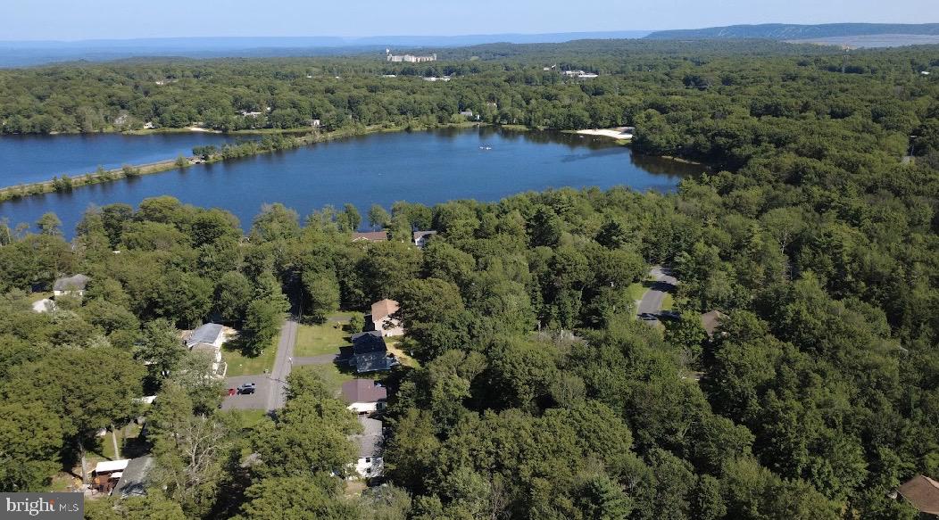 341 Scotch Pine Dr Property Photo 8