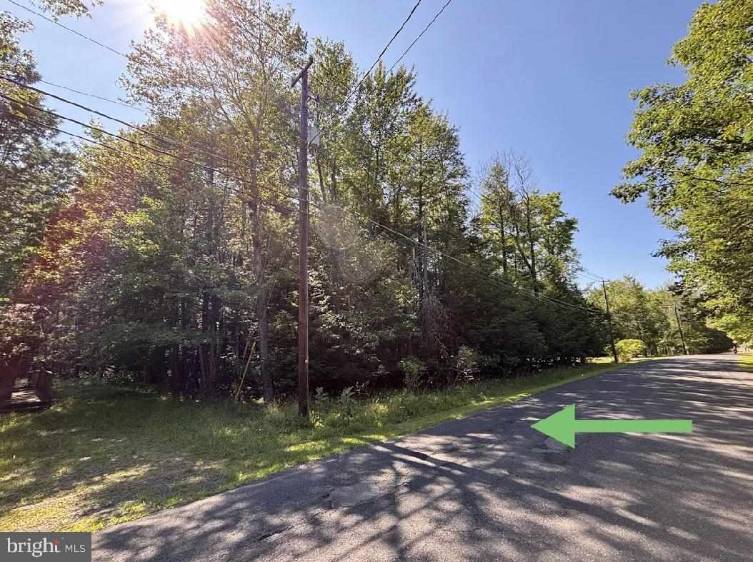 341 Scotch Pine Dr Property Photo 9