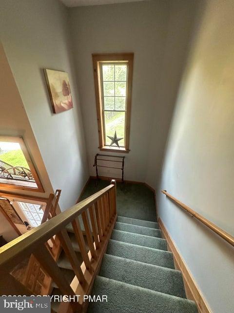 2210 Camelback Dr Property Photo 21