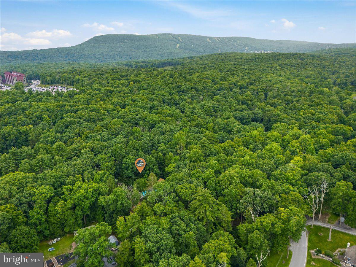 360 Babbling Brook Rd Property Photo 44