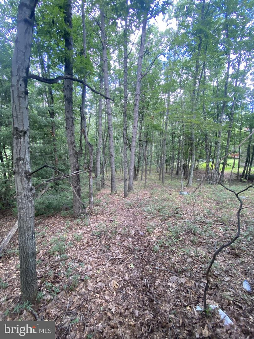 0 Rocky Mountain Dr Property Photo 2
