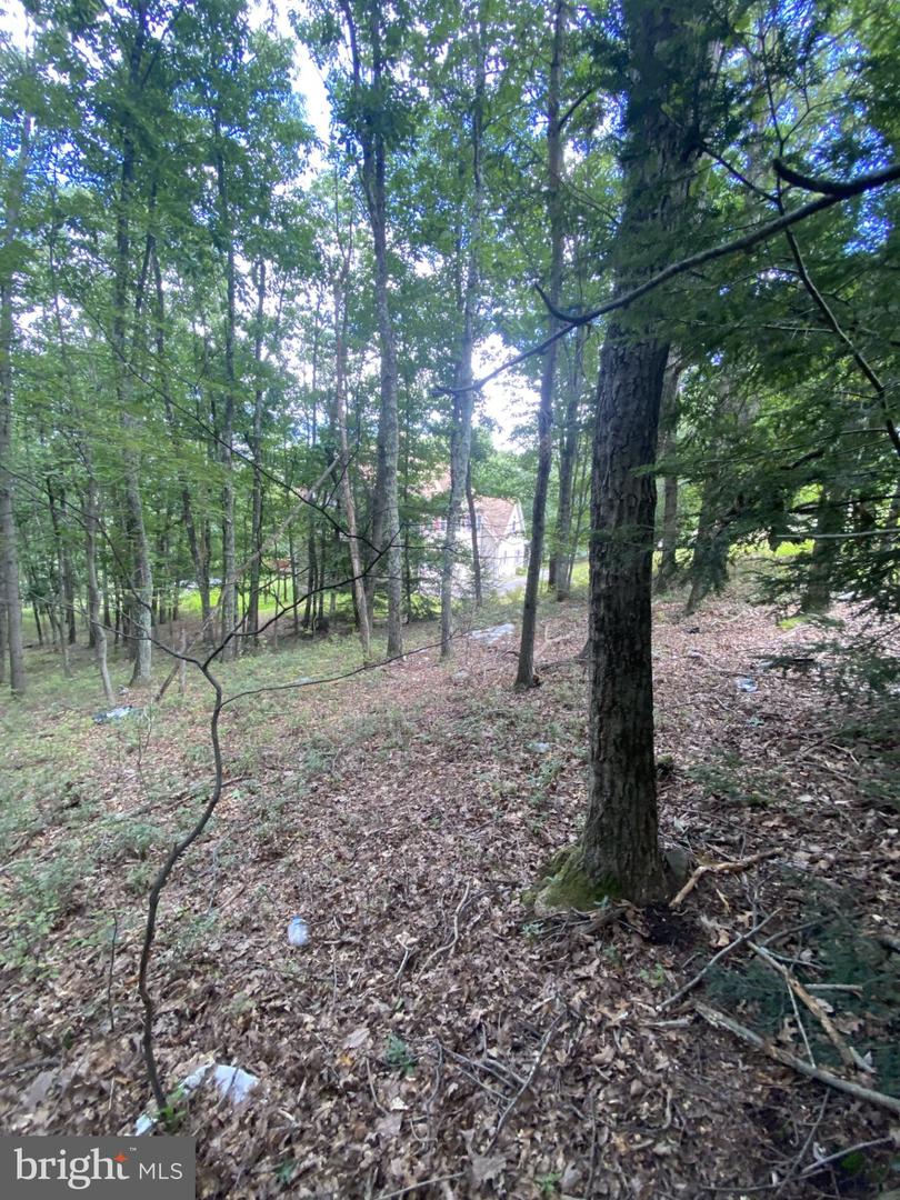 0 Rocky Mountain Dr Property Photo 3