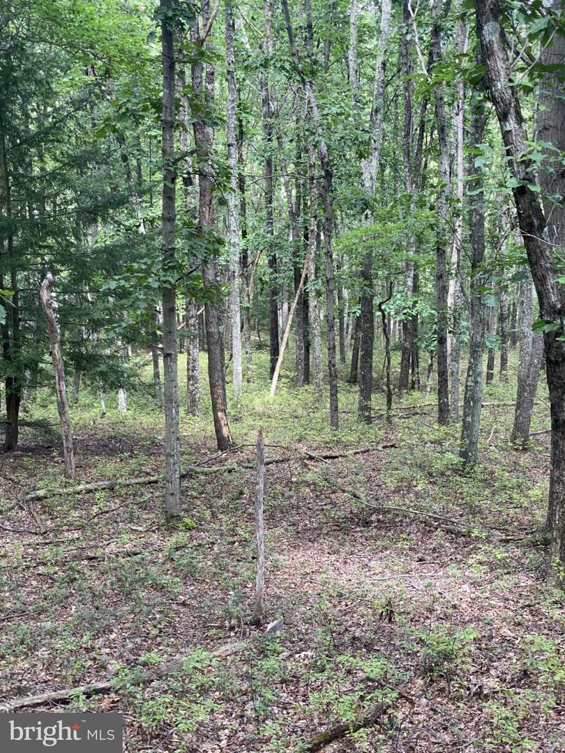 0 Rocky Mountain Dr Property Photo 4