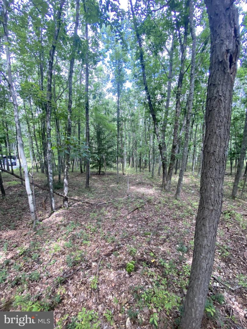 0 Rocky Mountain Dr Property Photo 6