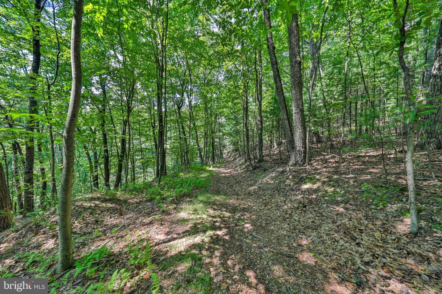 169 Dogwood Ln Property Photo 47