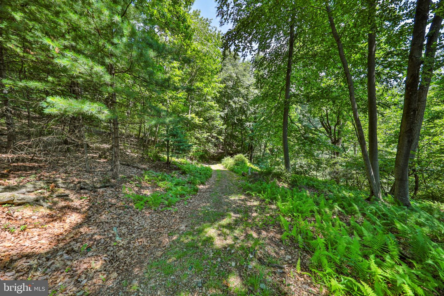 169 Dogwood Ln Property Photo 50