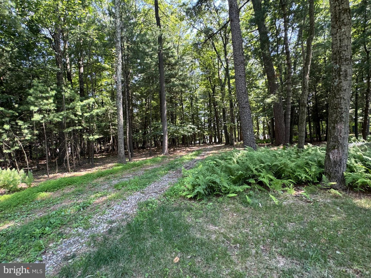 629 Carney Rd Property Photo 55