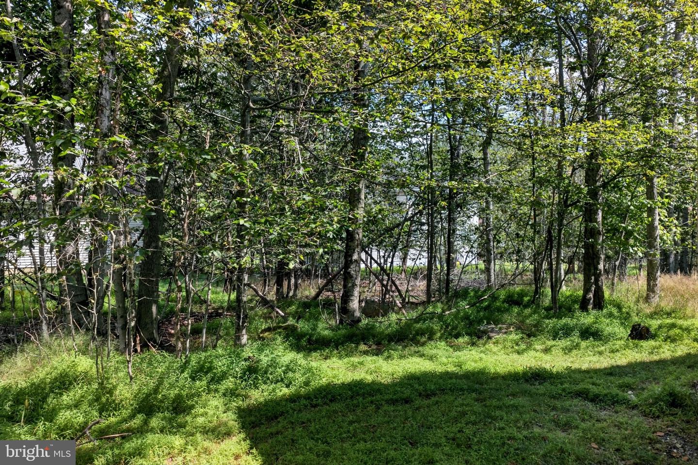 1894 Pinecrest Ct #k739 Property Photo 19