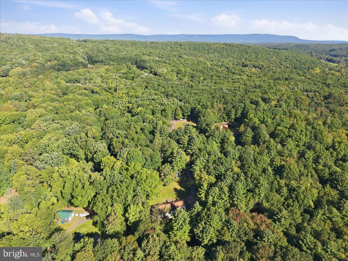 507 Starlite Ct Property Photo 63