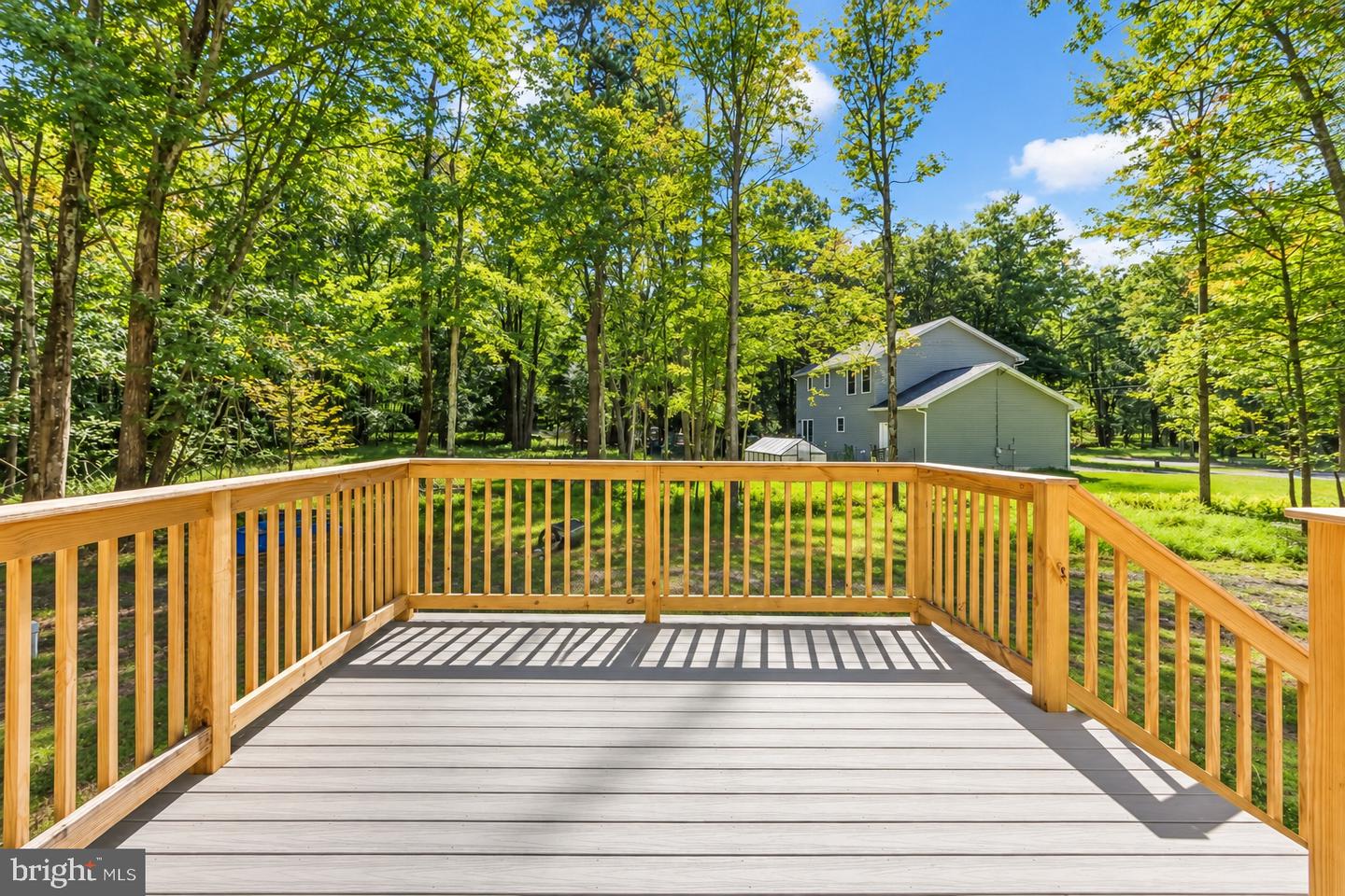 115 Deer Path Ln Property Photo 4