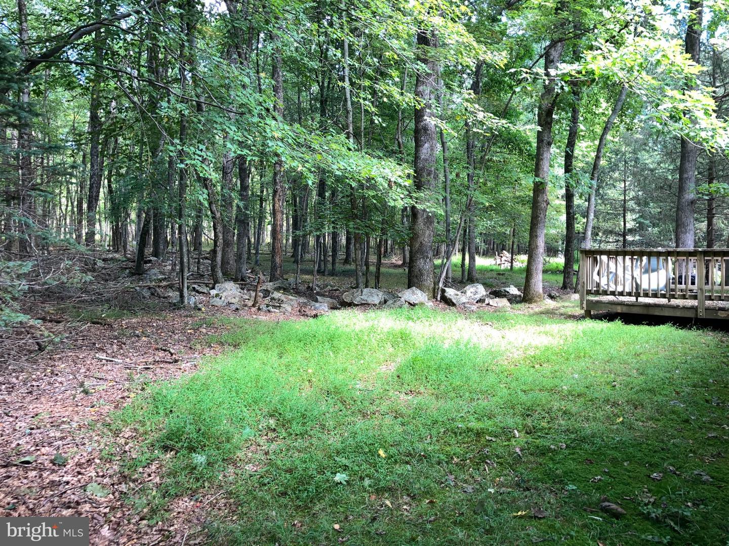 137 Aspen Rd Property Photo 3