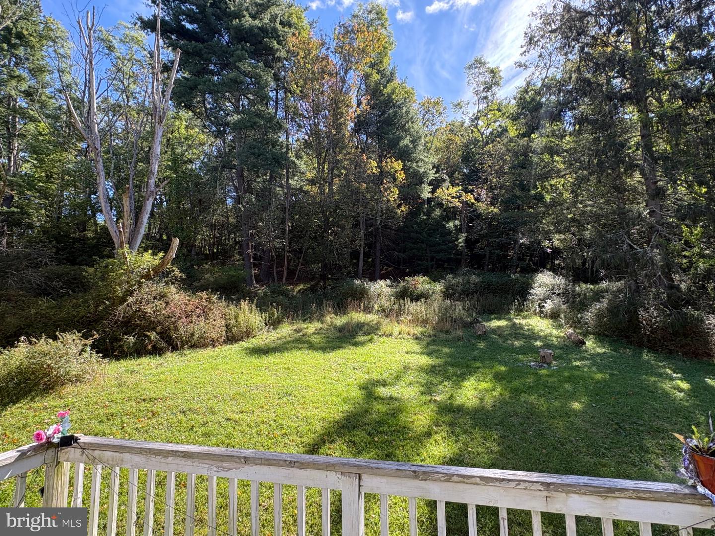 1215 Upper Seese Hill Rd Property Photo 10