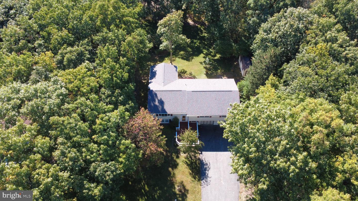 224 Tree Top Ter Property Photo 37
